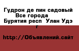 Гудрон де пин садовый - Все города  »    . Бурятия респ.,Улан-Удэ г.